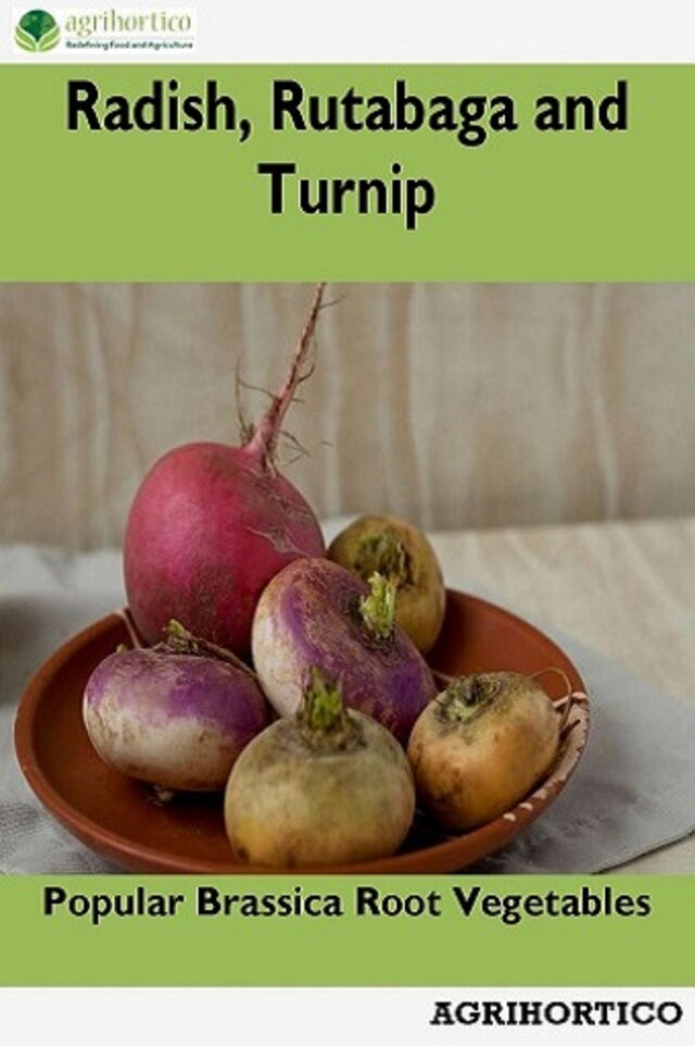 Couverture de livre pour Radish, Rutabaga and Turnip