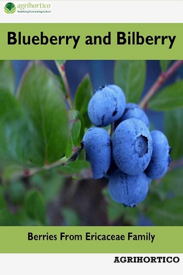 Copertina del libro per Blueberry and Bilberry