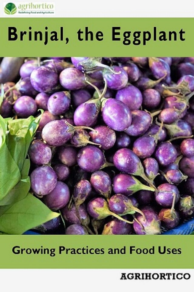 Boekomslag van Brinjals, the Eggplant