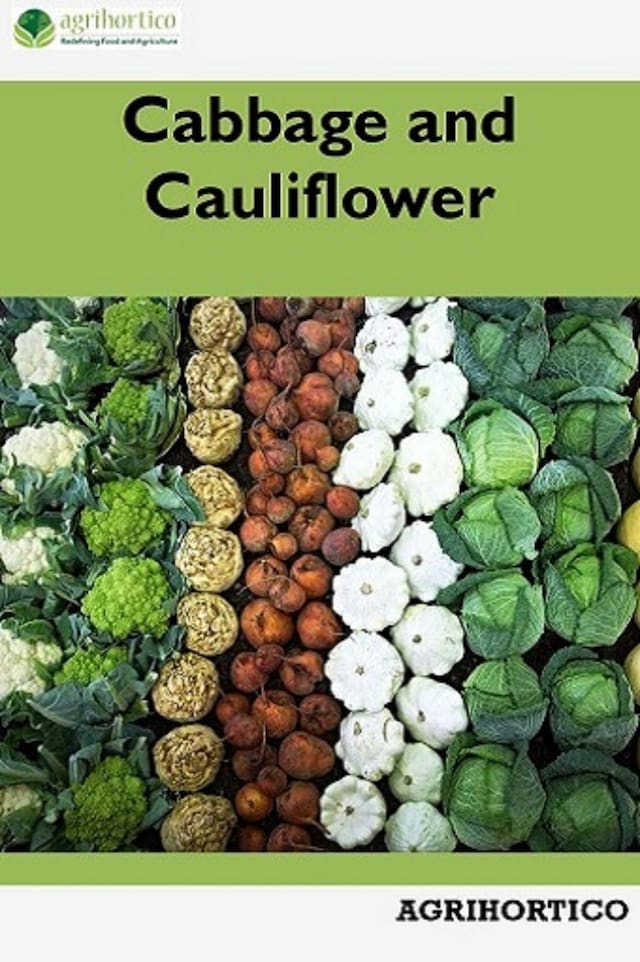 Book cover for Cabbage and Cauliflower