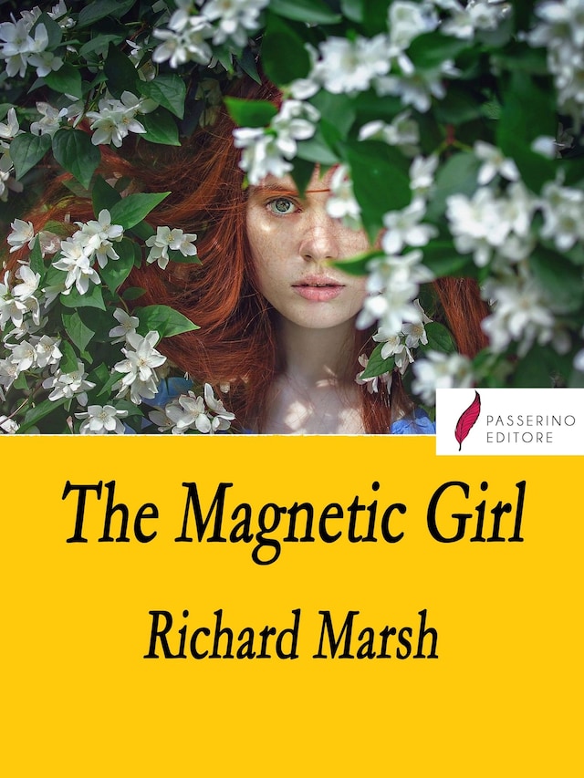 Book cover for The magnetic girl