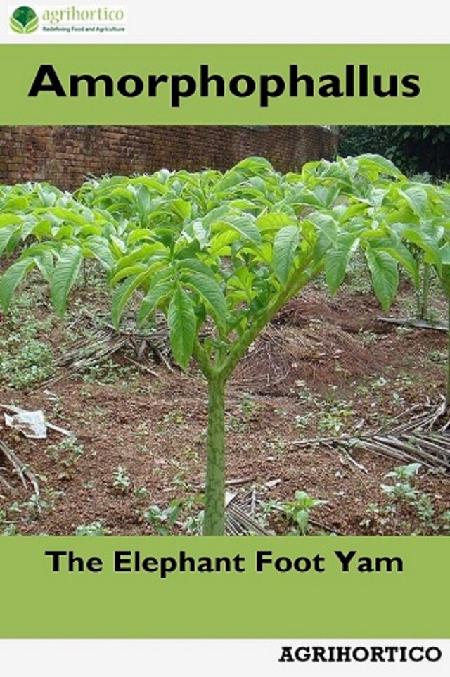 Kirjankansi teokselle Amorphophallus