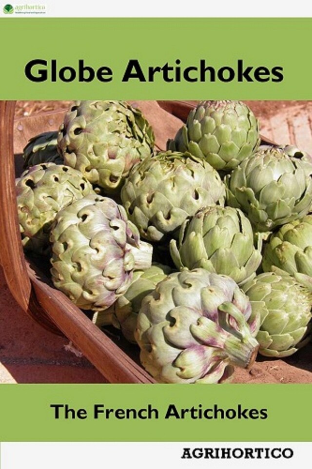 Kirjankansi teokselle Globe Artichokes