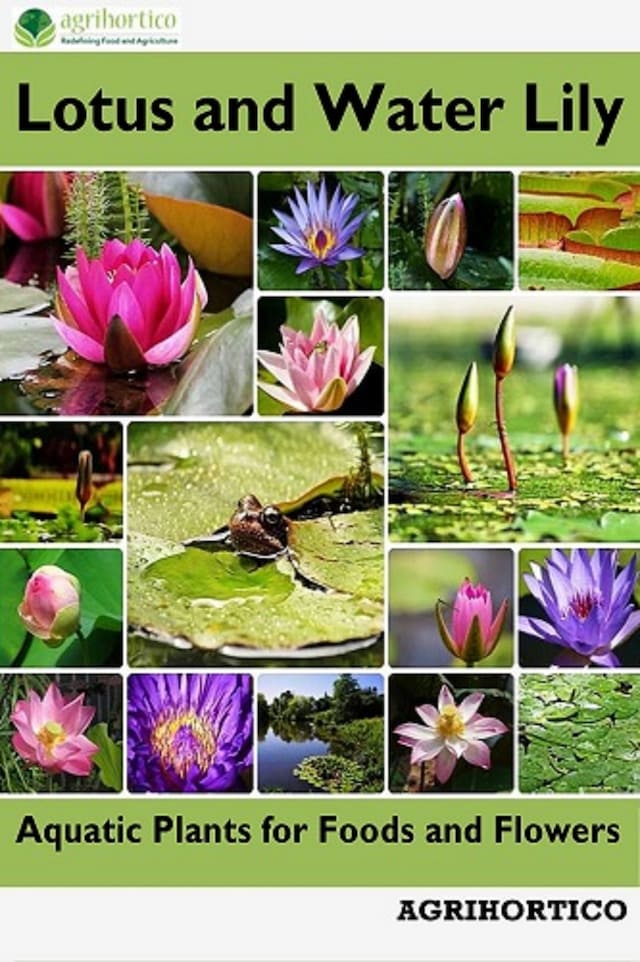 Boekomslag van Lotus and Water Lily