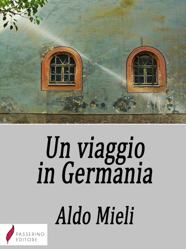 Book cover for Un viaggio in Germania