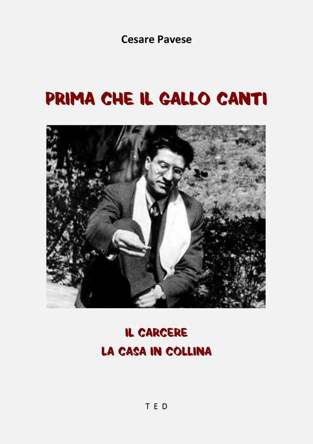 Book cover for Prima che il gallo canti