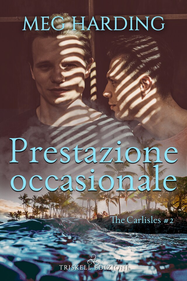 Couverture de livre pour Prestazione occasionale