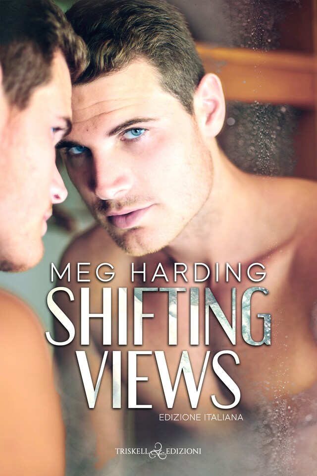 Book cover for Shifting views
