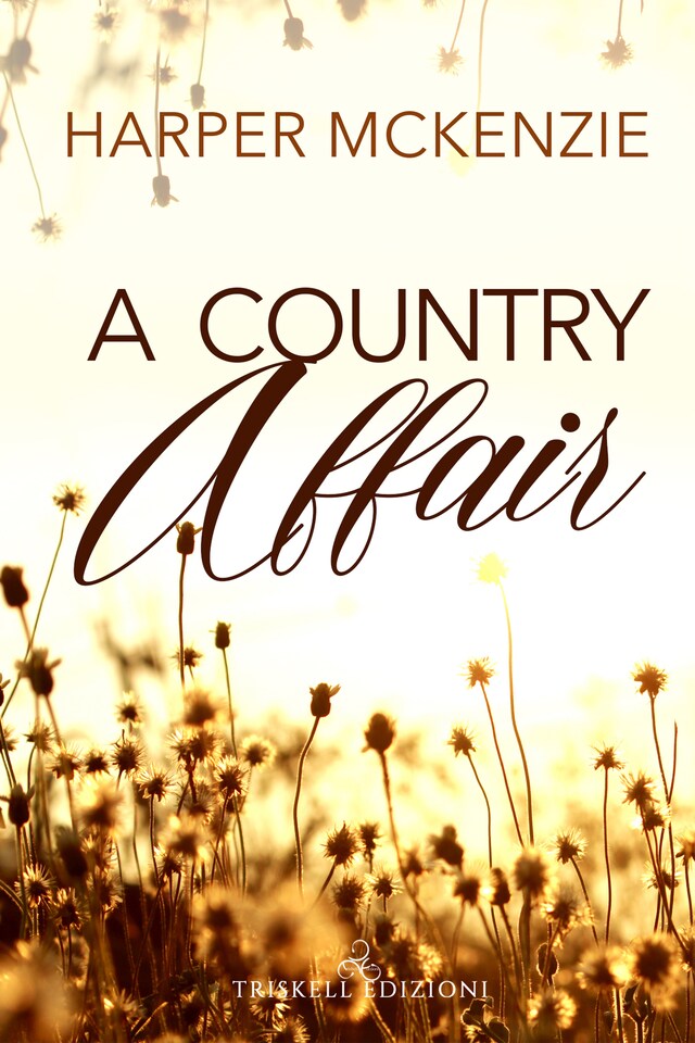 Book cover for A country affair