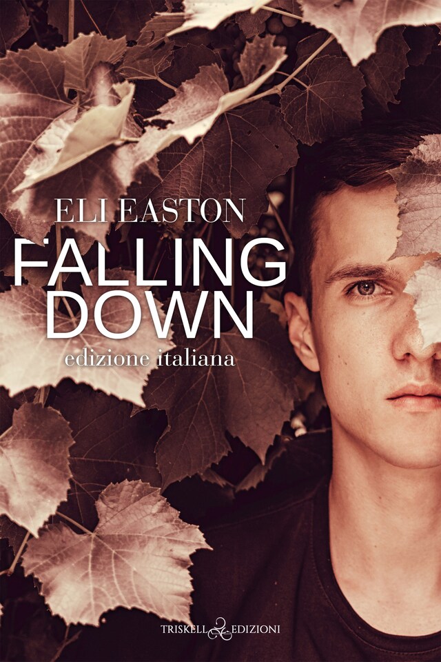 Buchcover für Falling Down