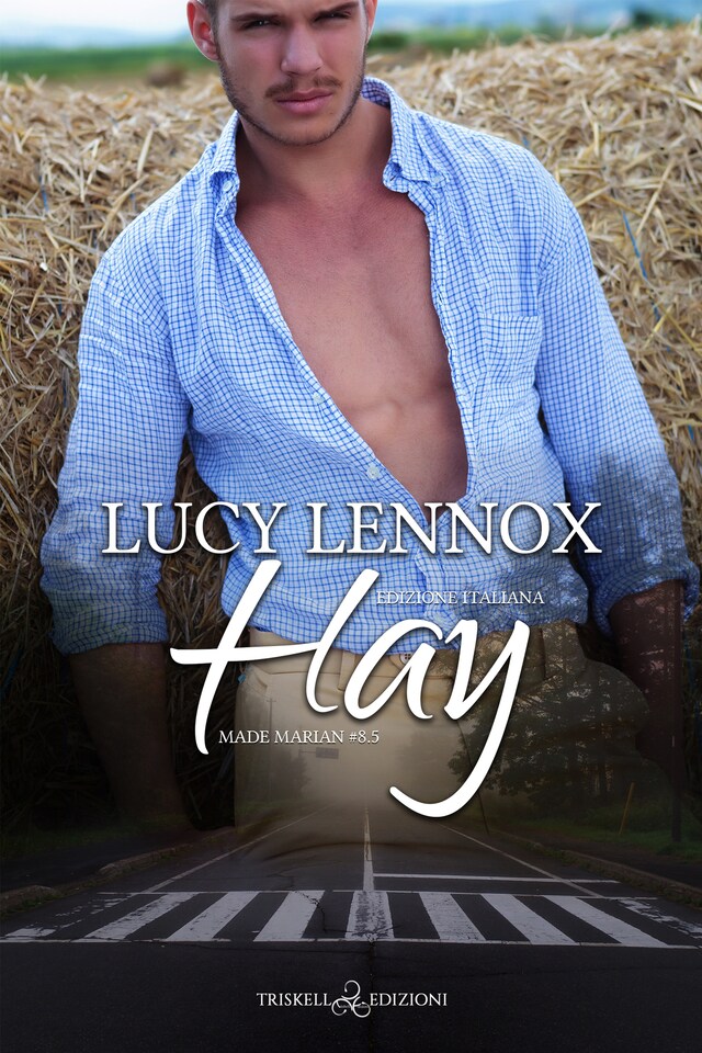 Copertina del libro per Hay