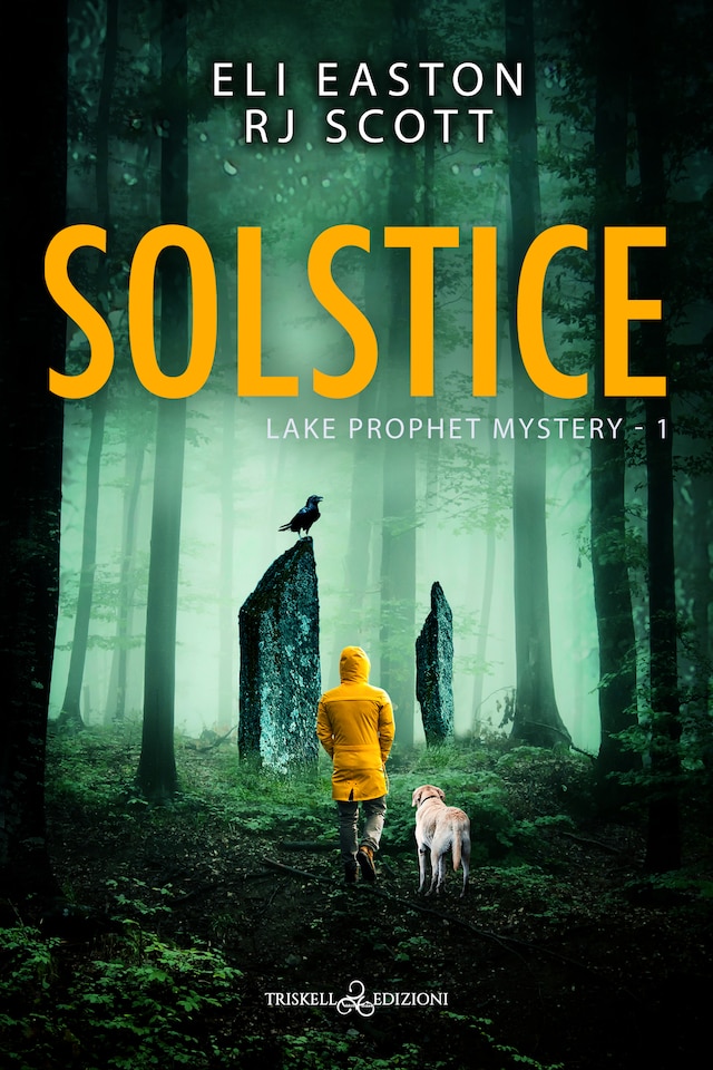 Buchcover für Solstice