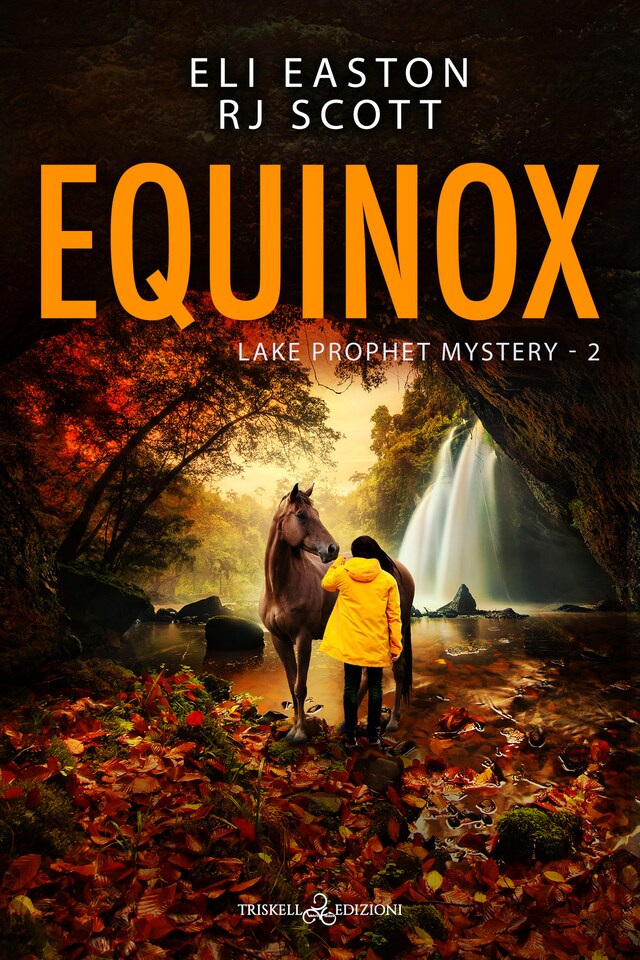 Book cover for Equinox