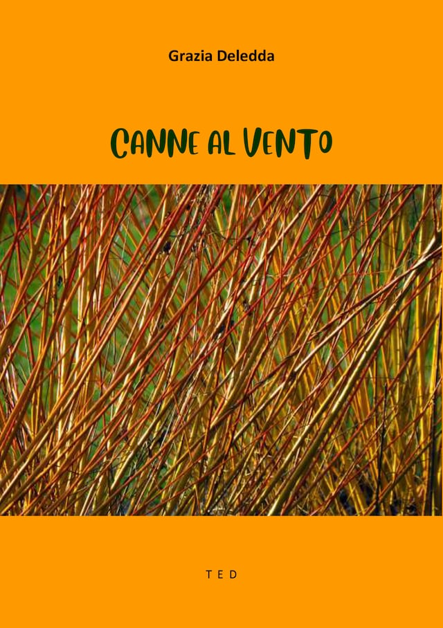 Book cover for Canne al vento