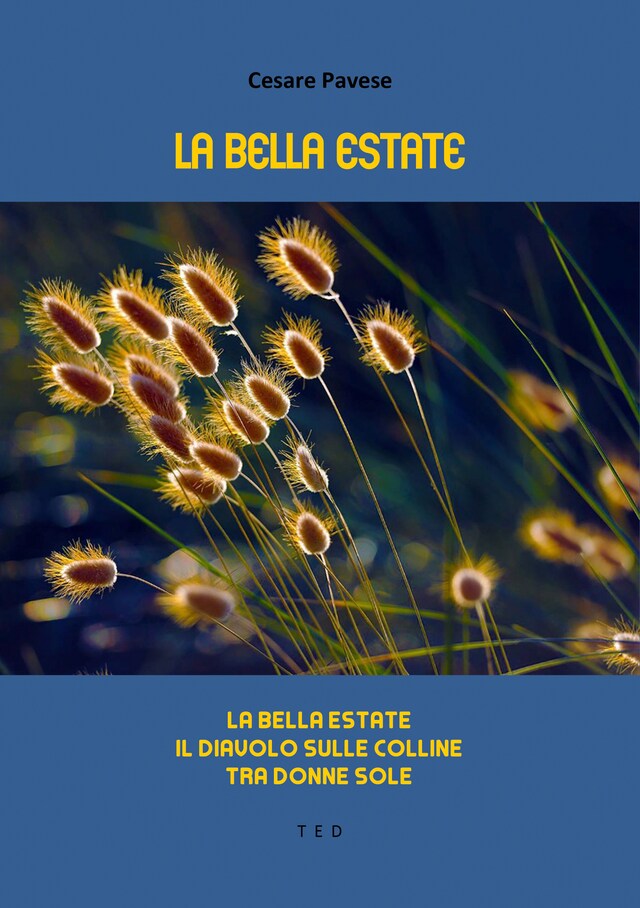 Couverture de livre pour La bella estate