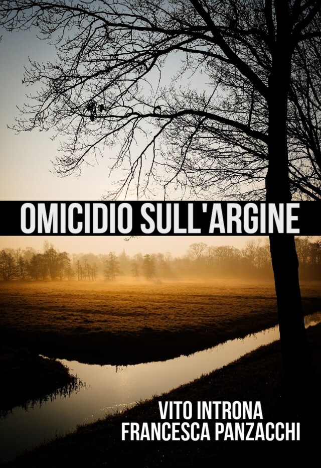 Book cover for Omicidio sull'argine