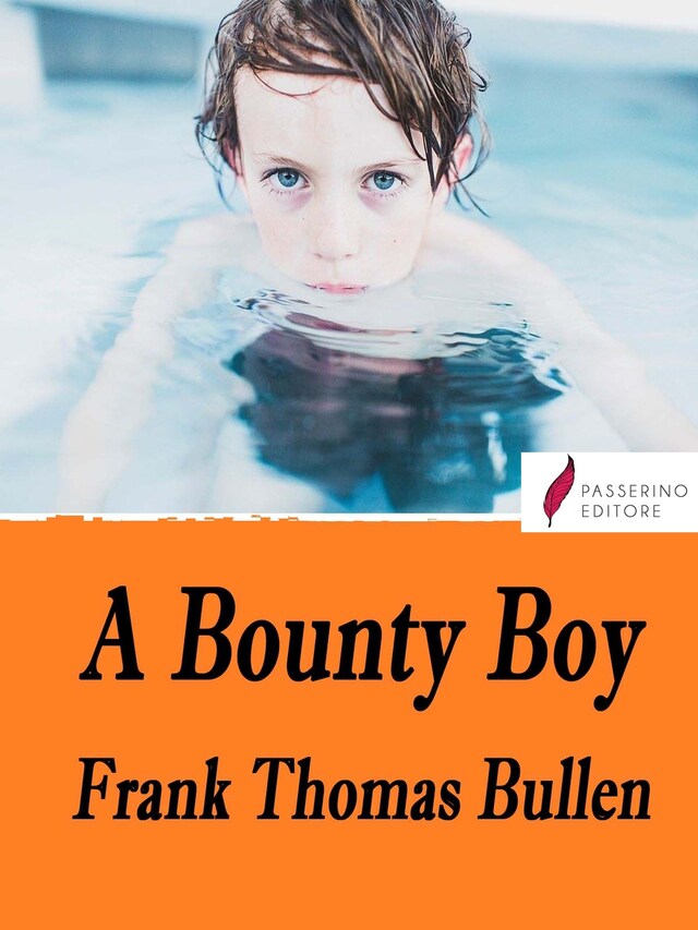 Book cover for A Bounty Boy