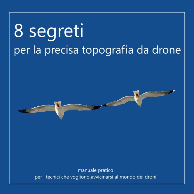 Copertina del libro per 8 segreti per la precisa topografia da drone