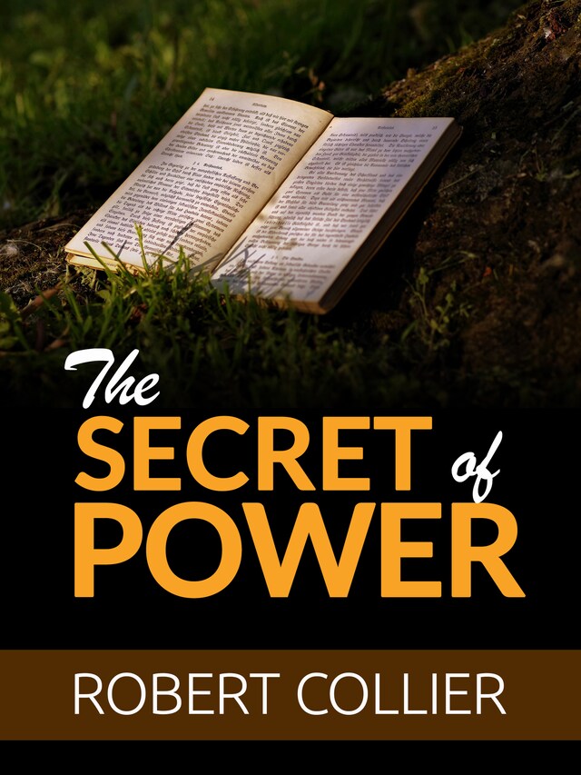 Book cover for The Secret of Power