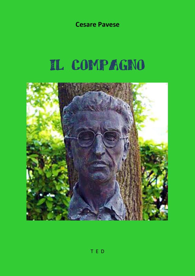Book cover for Il compagno