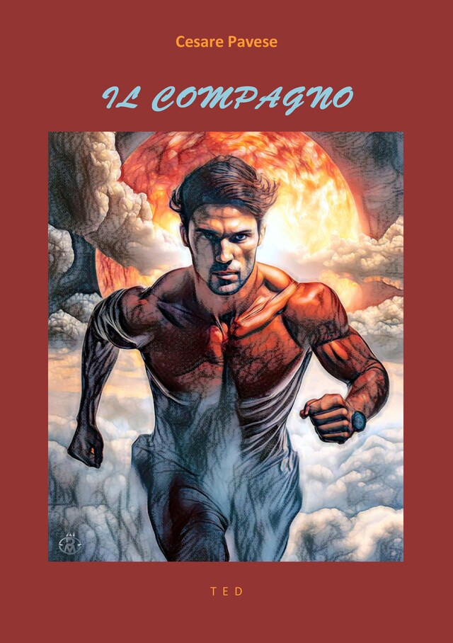 Book cover for Il compagno