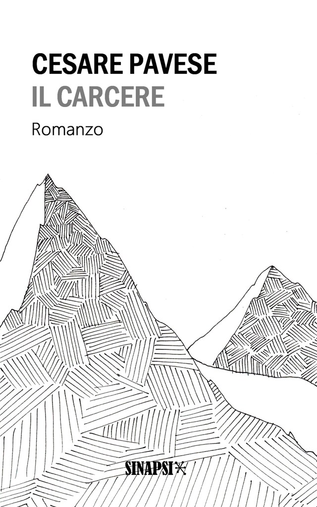 Book cover for Il carcere