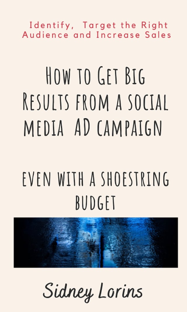 Bokomslag for How to Get Big Result from a Social Media AD Campaign Even with a Shoestring Budget.