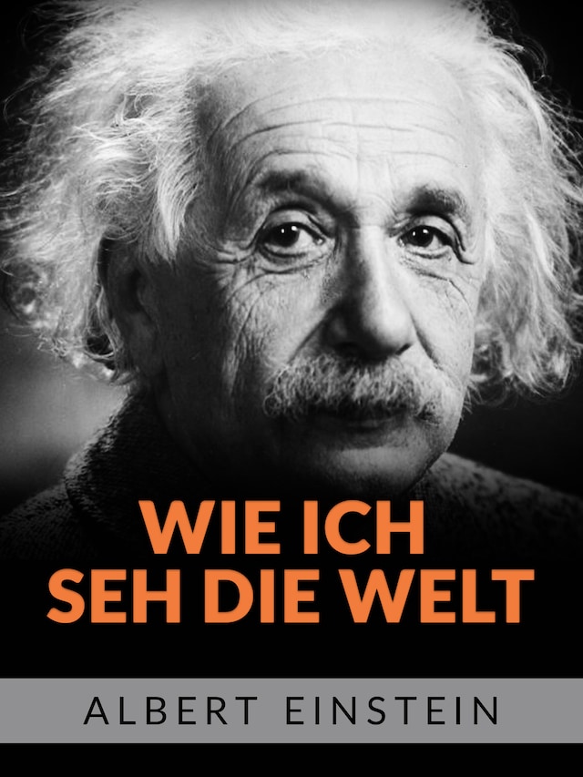 Book cover for Wie ich she die welt (Übersetzt)