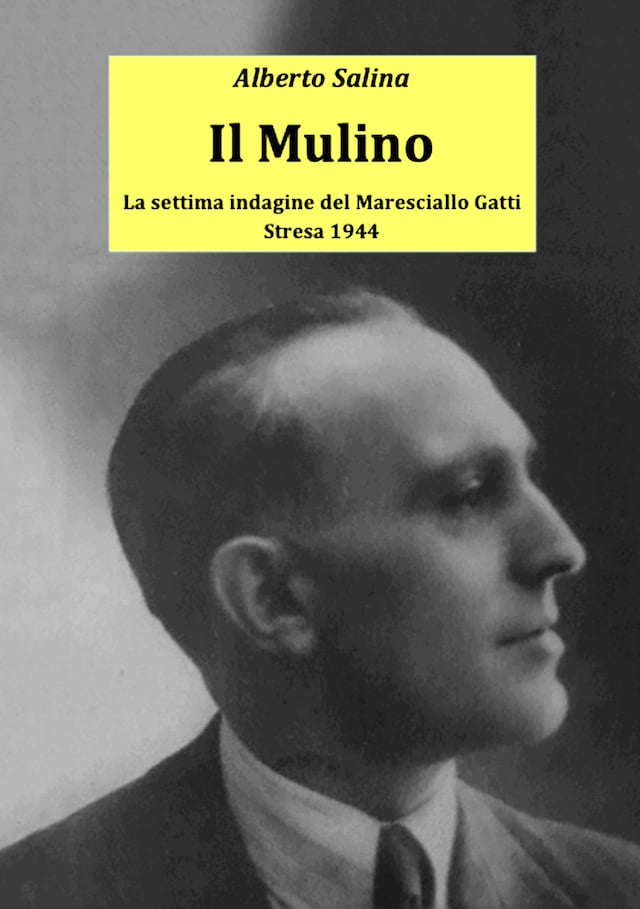 Book cover for Il Mulino