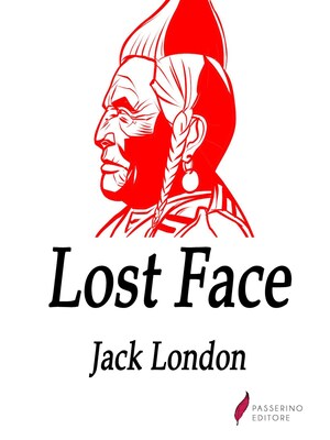 Lost Face bookCoverFor