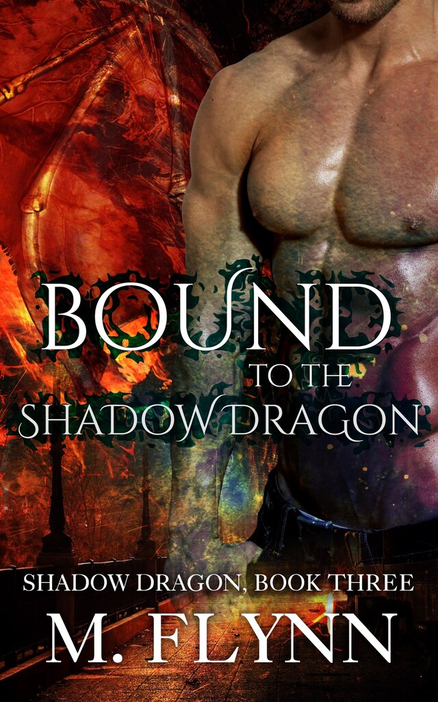 Bokomslag for Bound to the Shadow Dragon: Shadow Dragon Book 3 (Dragon Shifter Romance)