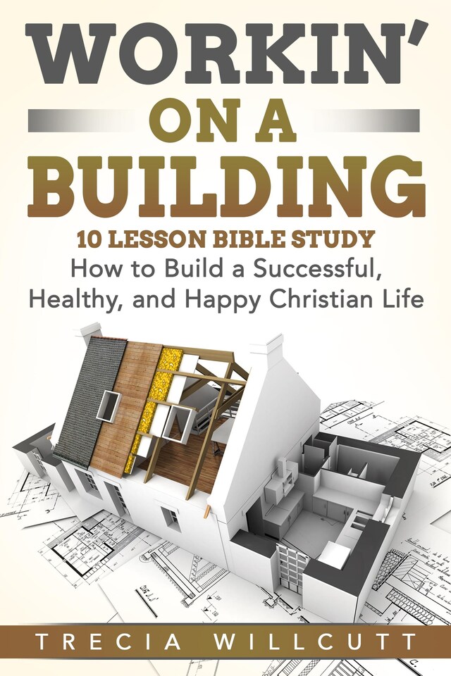 Couverture de livre pour Workin’ On a Building