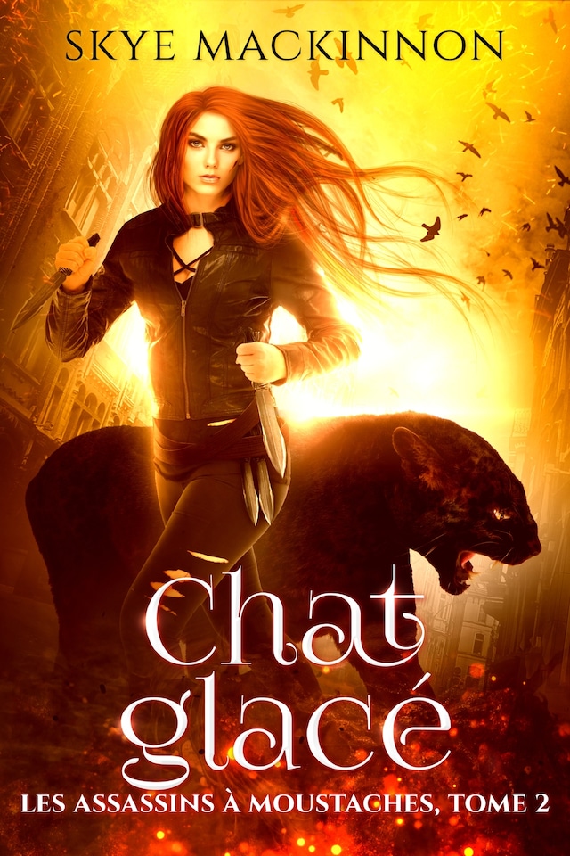 Book cover for Chat glacé