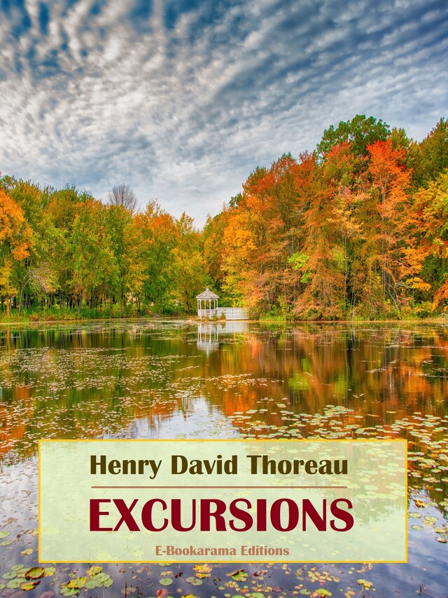 Book cover for Excursions