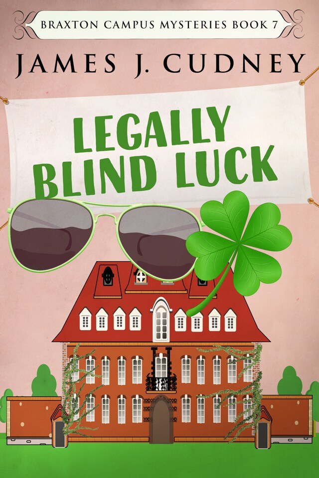 Boekomslag van Legally Blind Luck