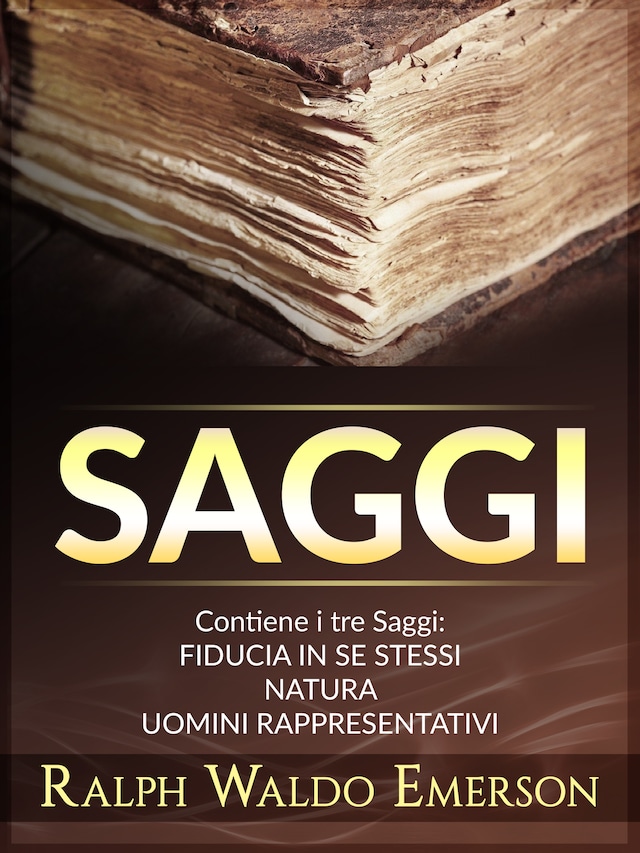 Bogomslag for Saggi