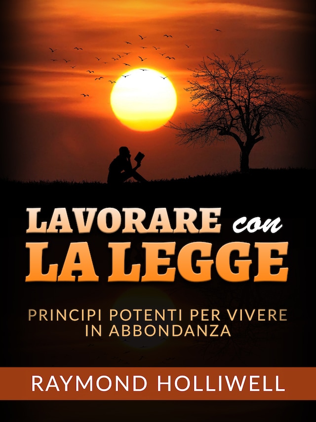 Book cover for Lavorare con la Legge (Tradotto)