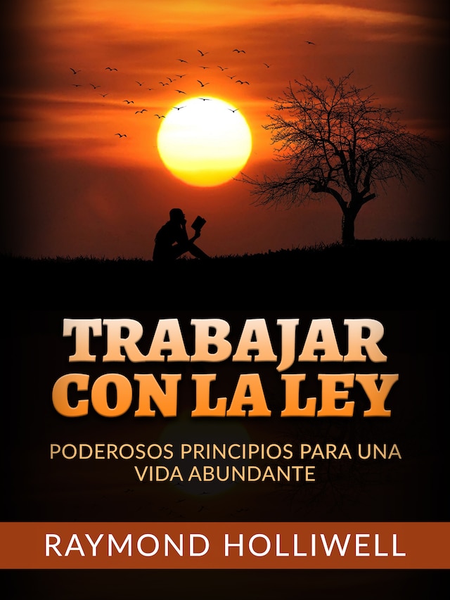 Book cover for Trabajar con la Ley (Traducido)