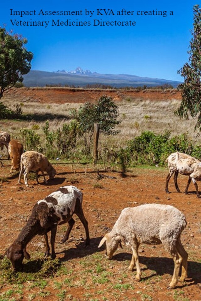 Bokomslag for Impact assessment KVA: Creating the Veterinary Medicines Directorate