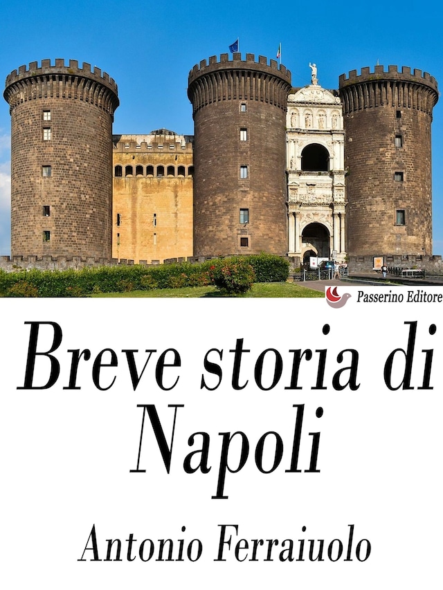Kirjankansi teokselle Breve storia di Napoli