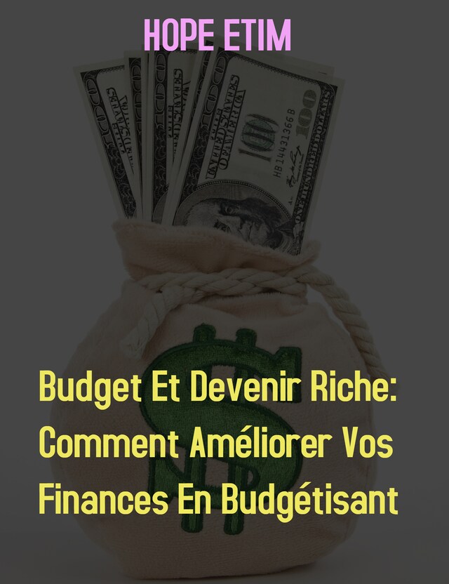 Budget et Devenir Riche: Comment Améliorer vos Finances en Budgétisant