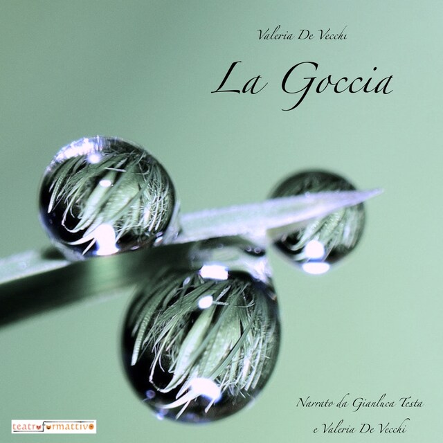 Okładka książki dla La Goccia