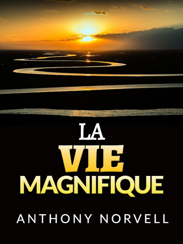 Book cover for La Vie Magnifique (Traduit)