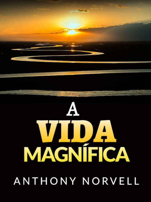 Book cover for A Vida Magnífica (Traduzido)