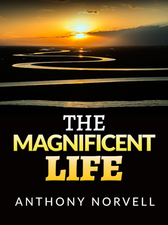 Book cover for The Magnificent Life