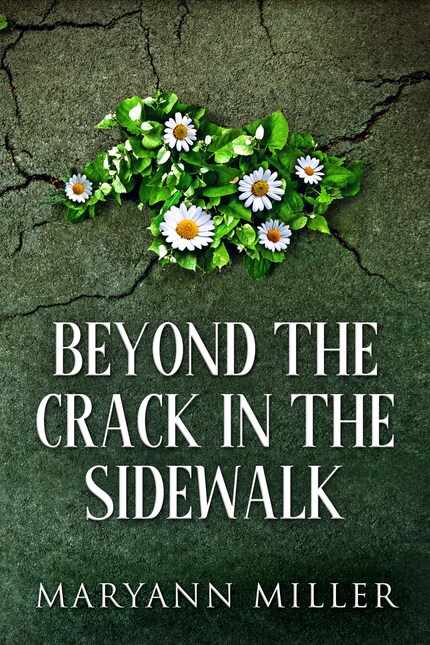 Beyond The Crack In The Sidewalk bookCoverFor