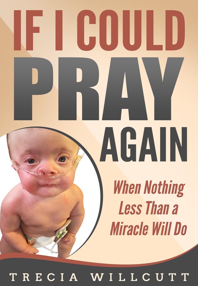 Book cover for If I Could Pray Again