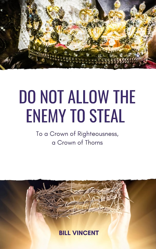 Couverture de livre pour Do Not Allow the Enemy to Steal