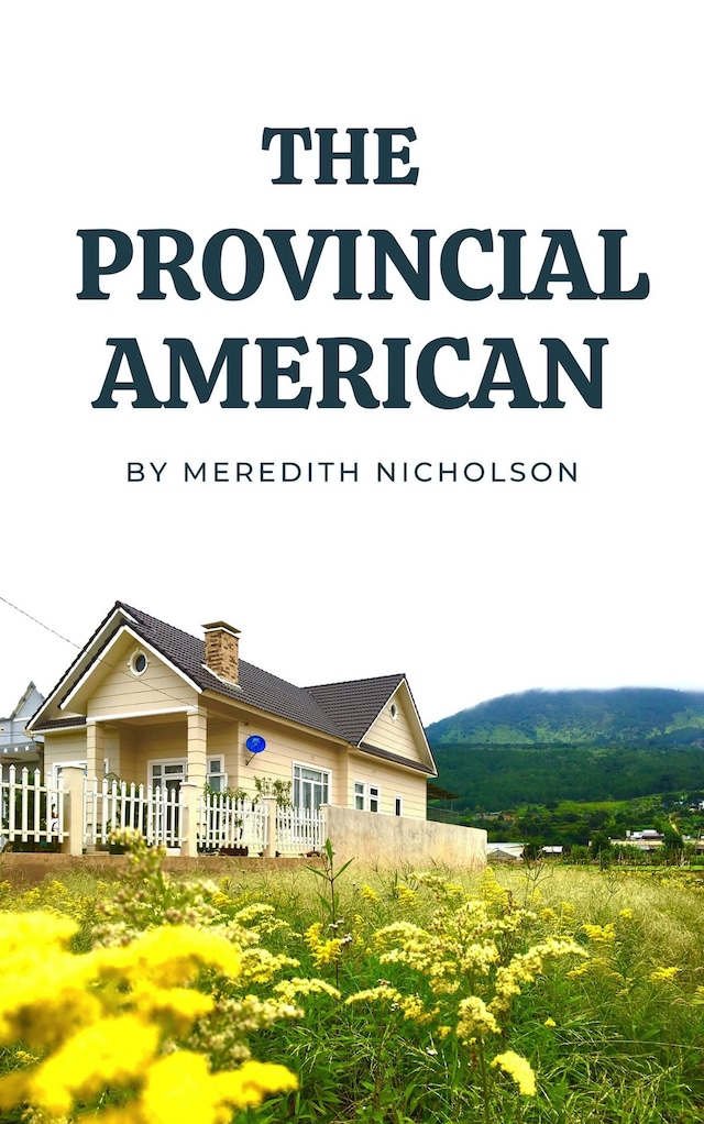 Book cover for The Provincial American