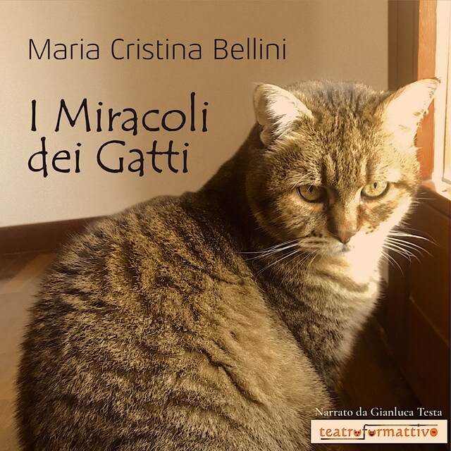 Portada de libro para I miracoli dei gatti